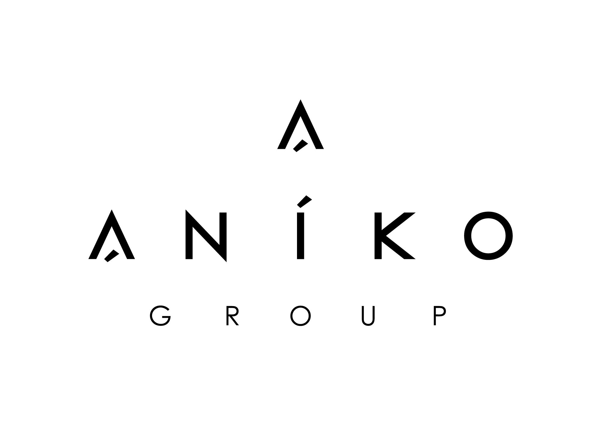Aniko Group logo